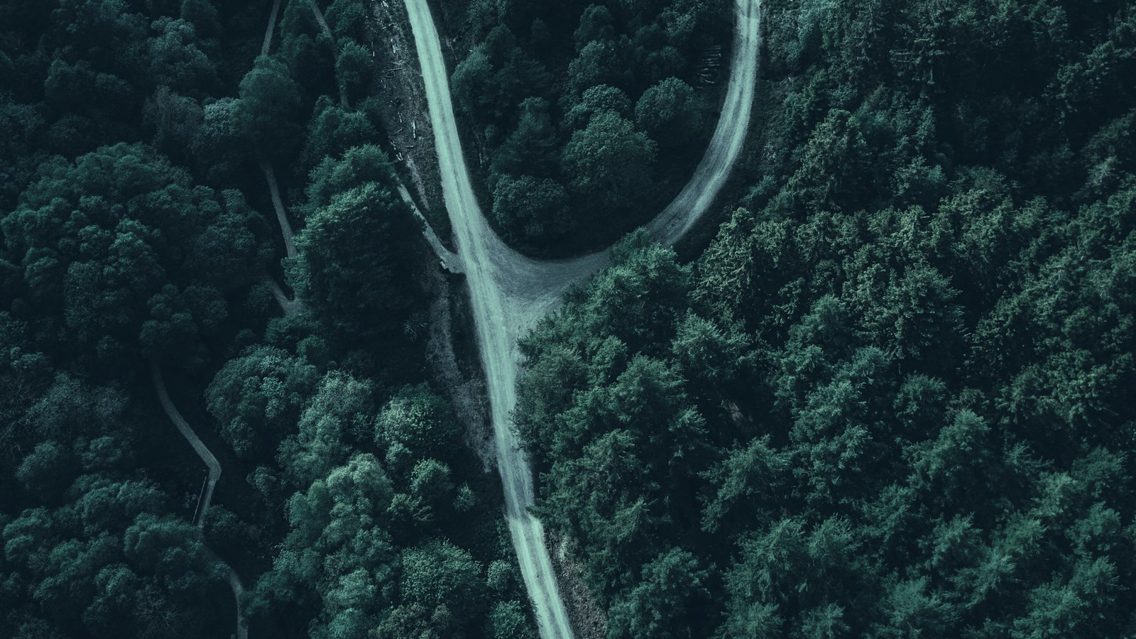 First AI hire cover, a forked forest road seen from above, Axial Search