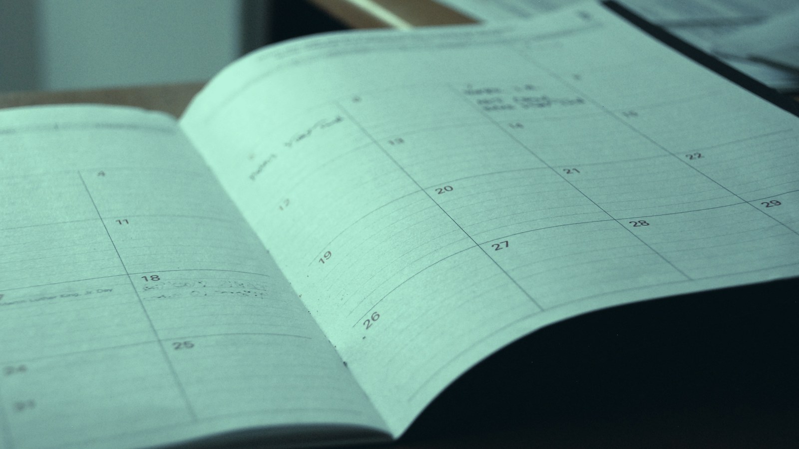 Fractional executive conflicts of interest: an open monthly planner on a desk