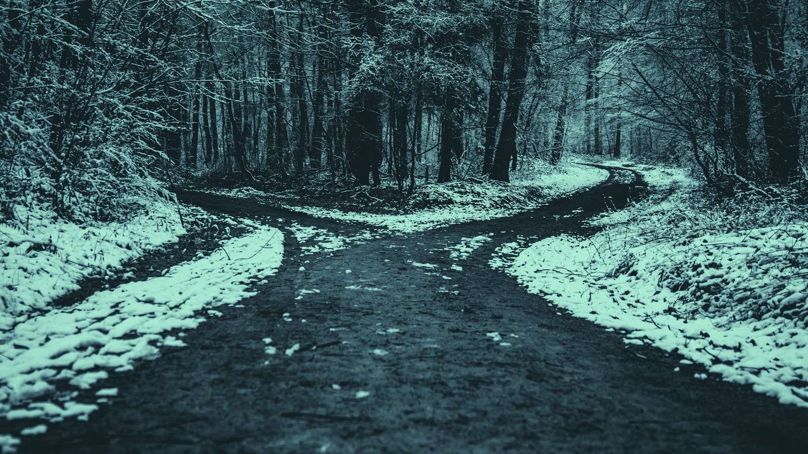 Fractional CAIO vs consultant cover, a snow lined track splitting into two paths, Axial Search